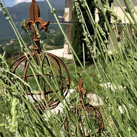 Borgo Le Vigne - L'uva Rara Only Adults *